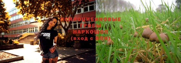 мяу мяу мука Лагань