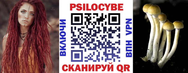 Галлюциногенные грибы мухоморы  хочу   hydra tor  Химки 